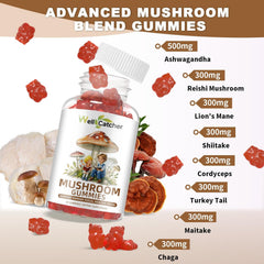 Mushroom Gummies Supplement with Ashwagandha - Lion Mane Mushroom Supplement for Adults Kids with Reishi Cordyceps Brain Supplements for Memory and Focus Organic Vegan Non GMO Mixed Fruit Flavor 60CT
