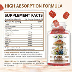 Mushroom Gummies Supplement with Ashwagandha - Lion Mane Mushroom Supplement for Adults Kids with Reishi Cordyceps Brain Supplements for Memory and Focus Organic Vegan Non GMO Mixed Fruit Flavor 60CT